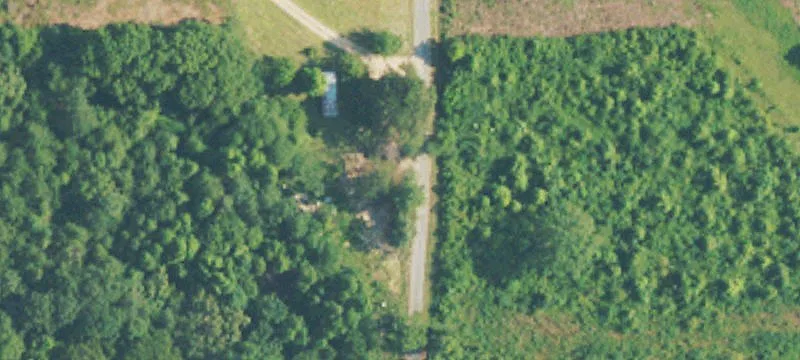 Wooded Land with Trail Access