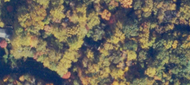 Wooded Agricultural Land