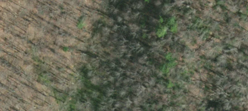 Unrestricted Mountain Farmland
