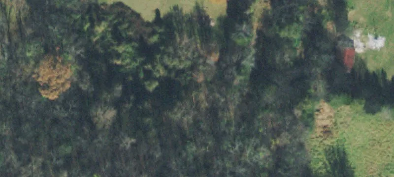 Wooded Land with Year-Round Stream