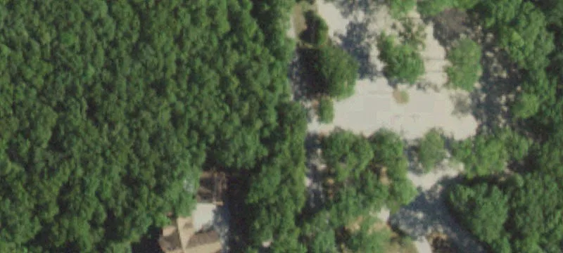 Wooded Wedding Venue