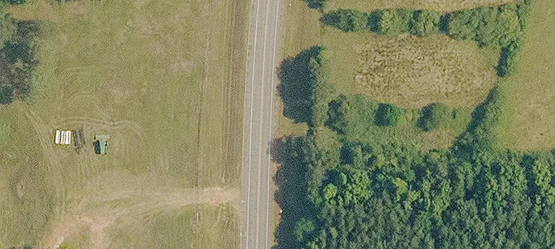 Agricultural Land with Pine Plantation