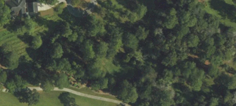 Land/Lot
