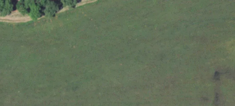 Working Ranch with Cattle Pens