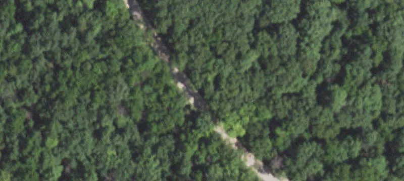 Timbered Land Parcel