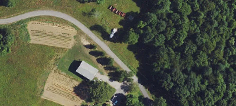 Wooded Hunting Land