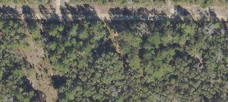 Wooded Land Parcel