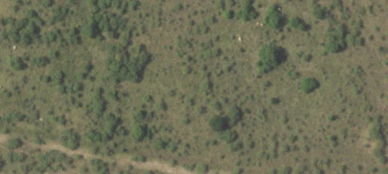 Unrestricted Agricultural Land