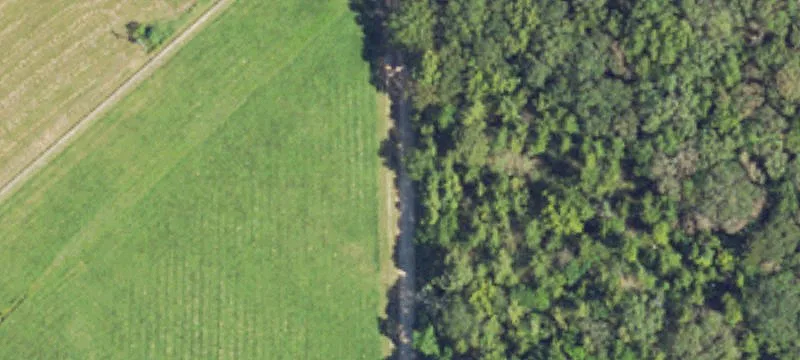 56-Stall Equestrian Property