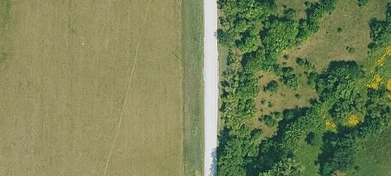 Timbered Hunting Land