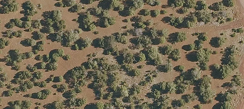 Wooded Land Parcel