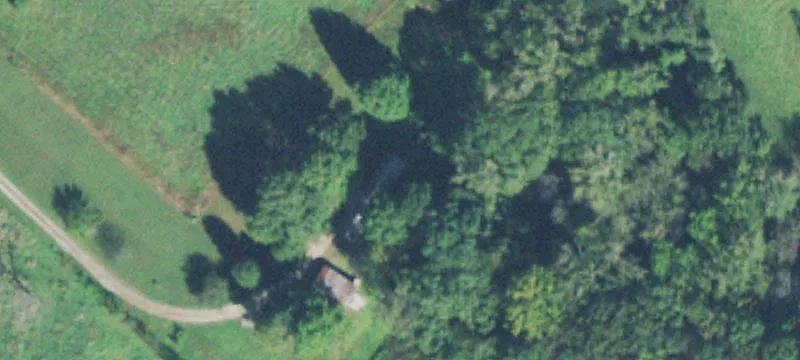 Wooded Timber Land