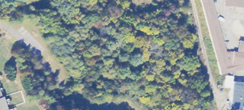 Wooded Commercial Land