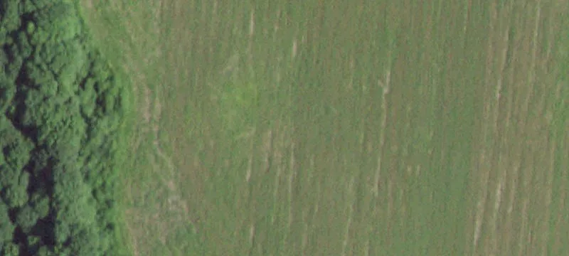 Working Farm and Horse Property