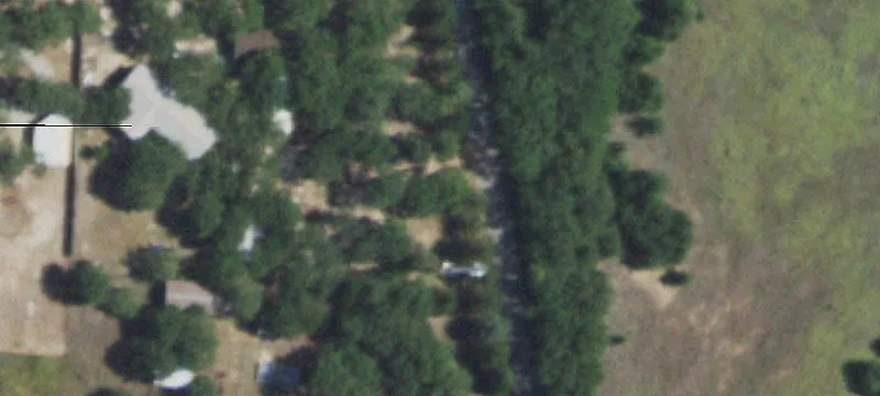 Mixed-Use Property with Dog Daycare