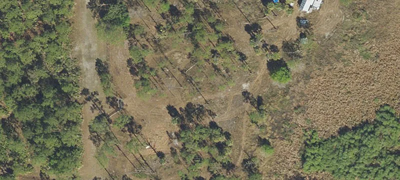 Two-Lot Agricultural Land