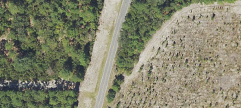 Wooded Waterfront Land