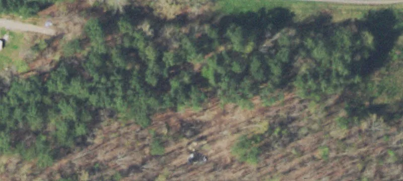 Land