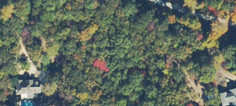 Unimproved Land