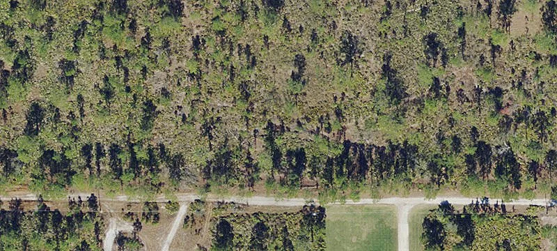 1714 OLEASTER, Sebring, FL 33875