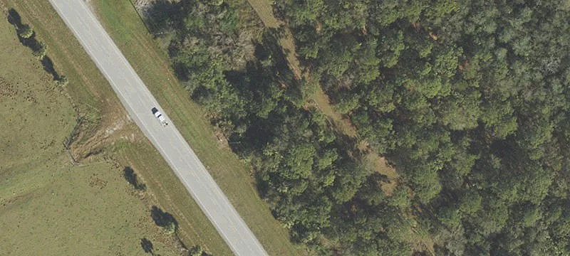 Wooded Commercial Land