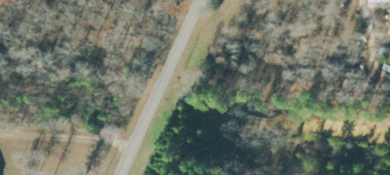 Land or Vacant Lot