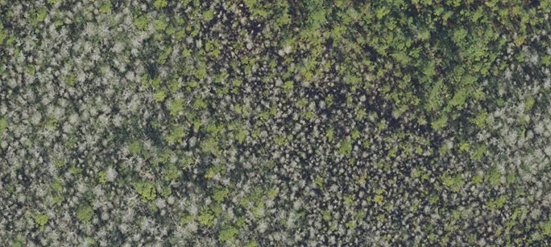 Rural Farmland Parcel