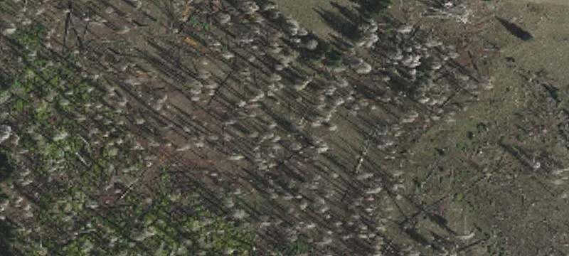 Land