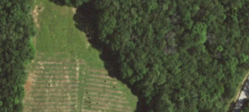 Farm Property With Three Homes