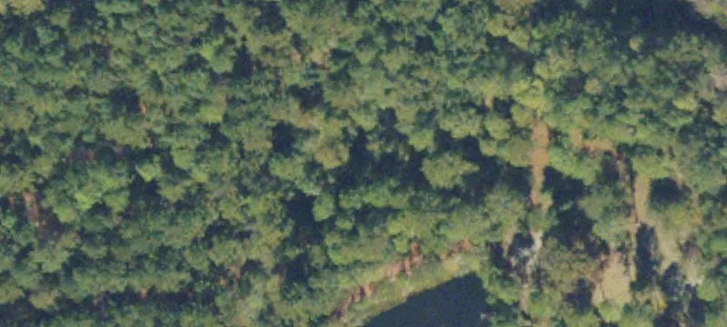 Timbered Hunting Land with Ponds