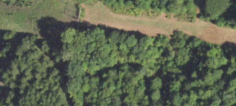 Managed Timber Hunting Land