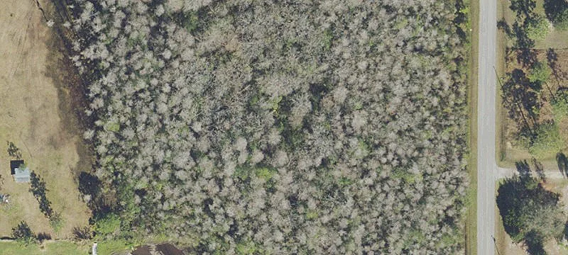 Undeveloped Farmland Parcel