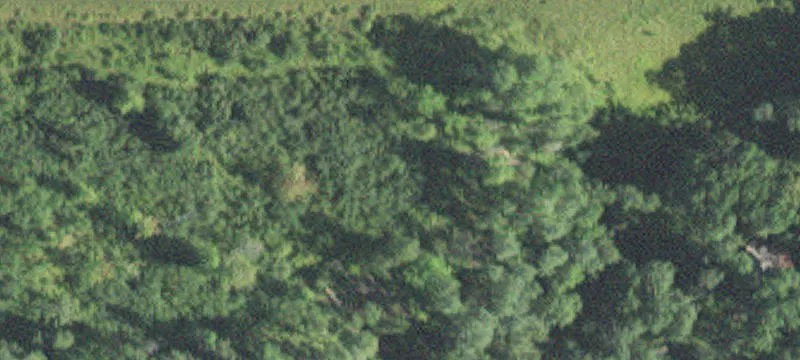 Established Hunting Land With Base Camp