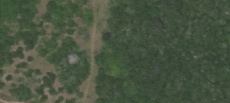 Farm Property with Guest Cabins