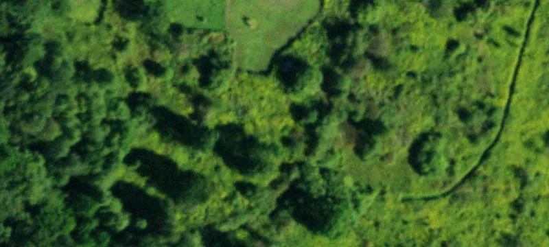 Hilltop Hunting Land with Cabin