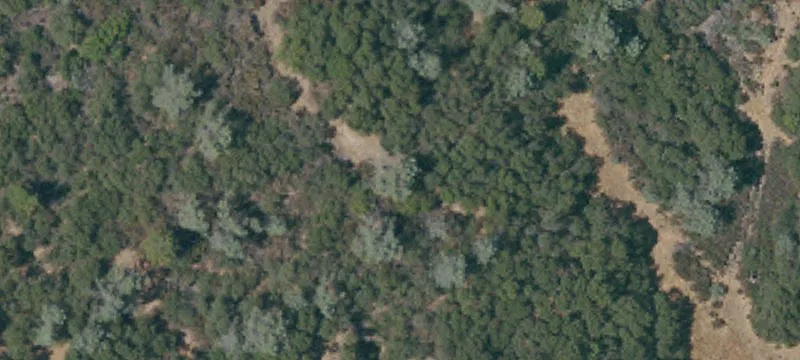 Lots/Land