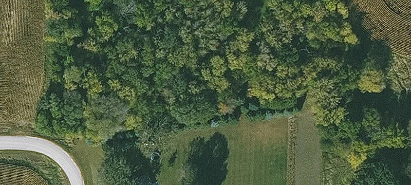 Agricultural Farm with Wildlife Habitat