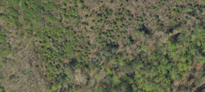 Acreage