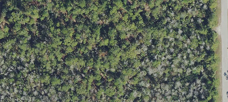 Lots/Land