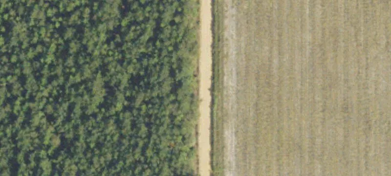 Unimproved Land