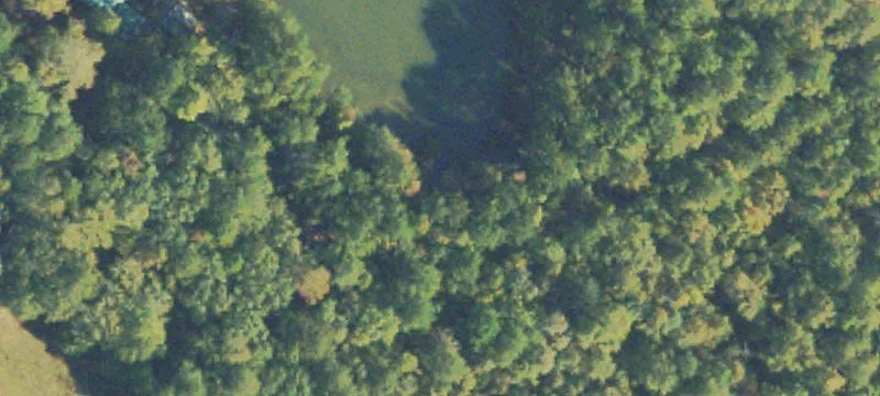 Wooded Hunting Land