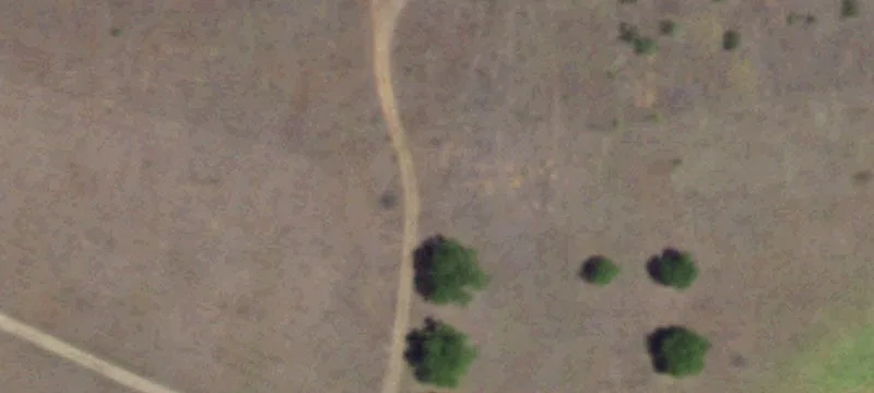 Ranch Property with Hunting Cabin