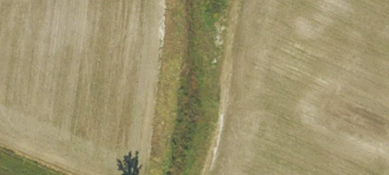 Farm and Timberland