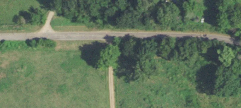 Tree-Covered Land with Well