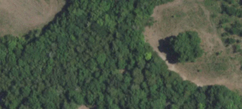 Horse & Equestrian Property with Arena