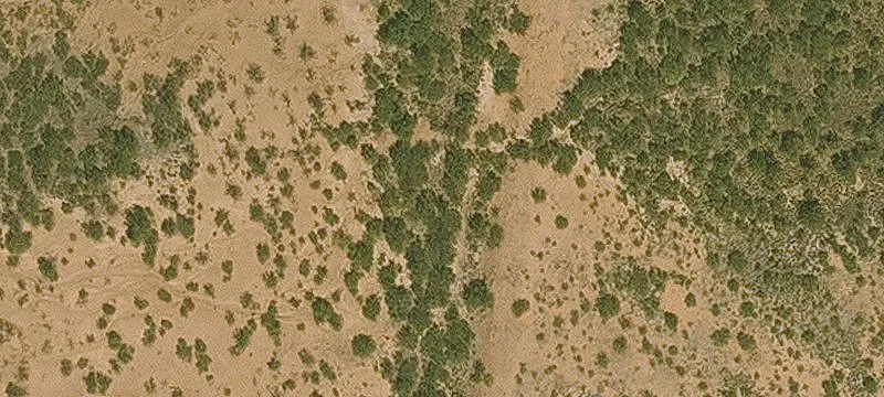 Lots/Land