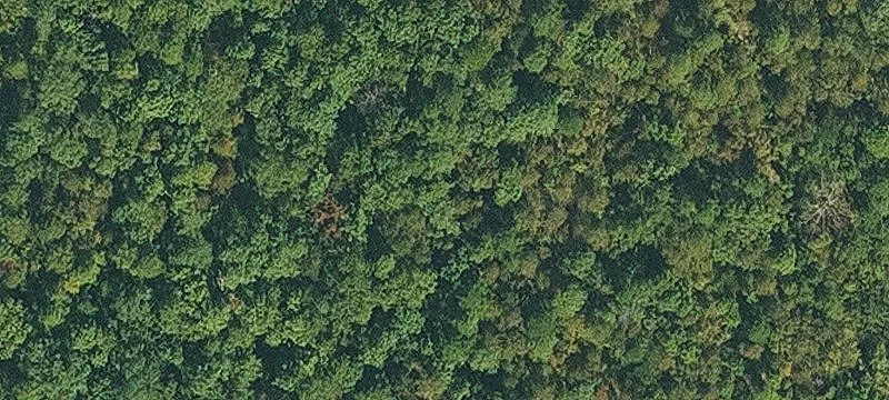 Highway-Frontage Land Parcel