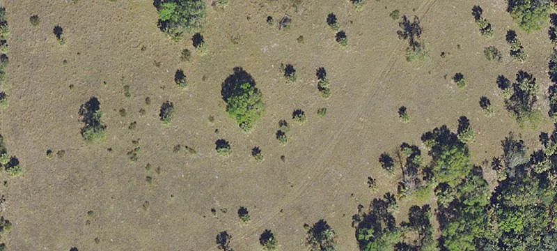 Agricultural Land Parcel
