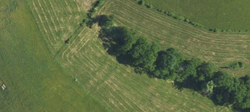 Farm with Two Ponds