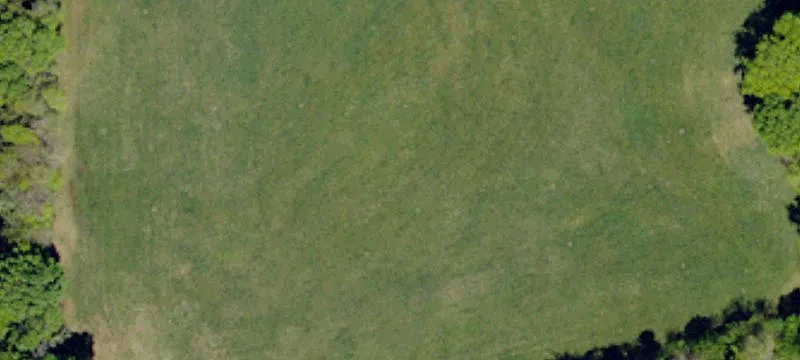 Agricultural Land with Hardwood Timber